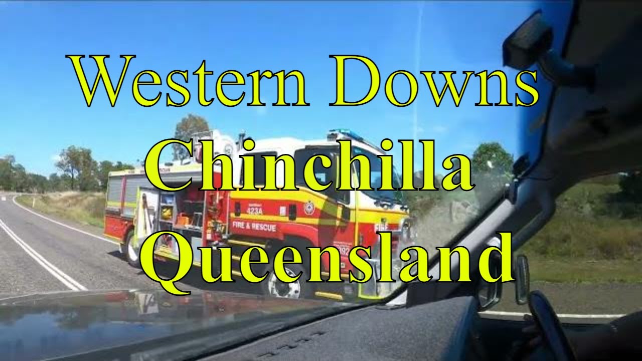 Western Downs Chinchilla