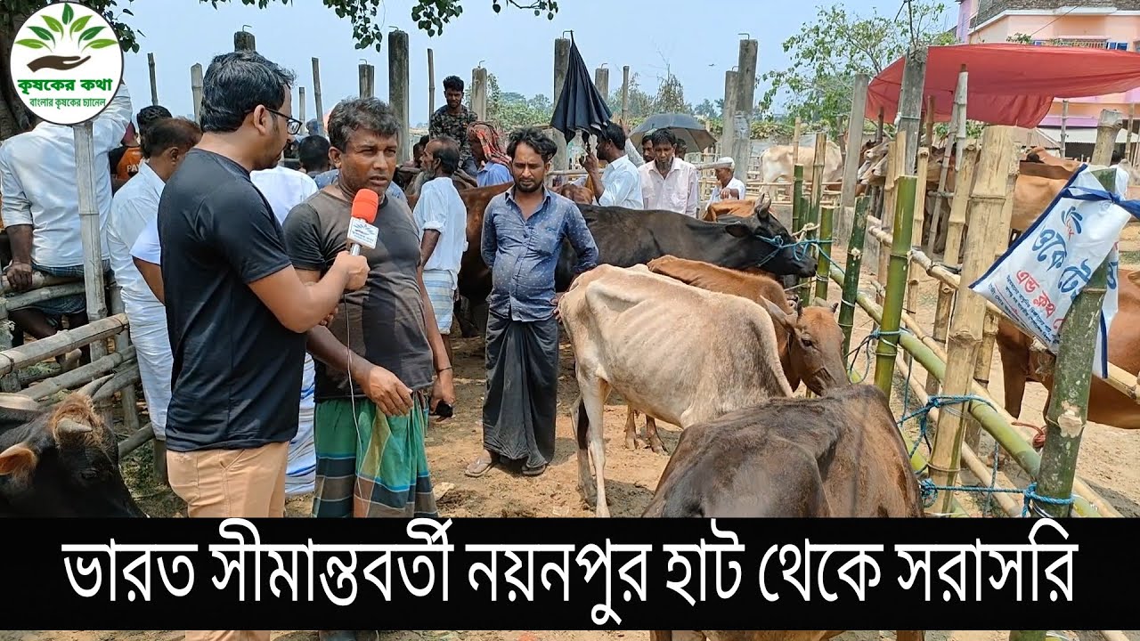 যে বাজারে ভারত ও বাংলাদেশি গরু বিক্রয় হয়