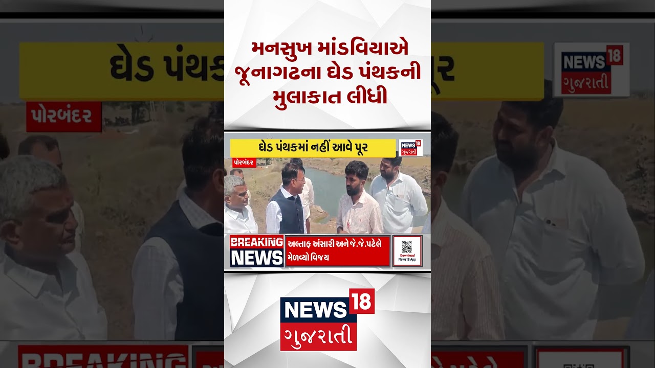 Porbandar Political News | કેન્દ્રીય મંત્રી ડૉ. મનસુખ માંડવિયા ઘેડ પંથકની મુલાકાતે | Gujarati News