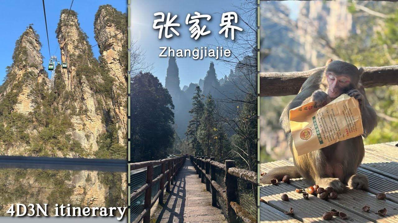 4D3N Zhangjiajie Trip Itinerary 张家界