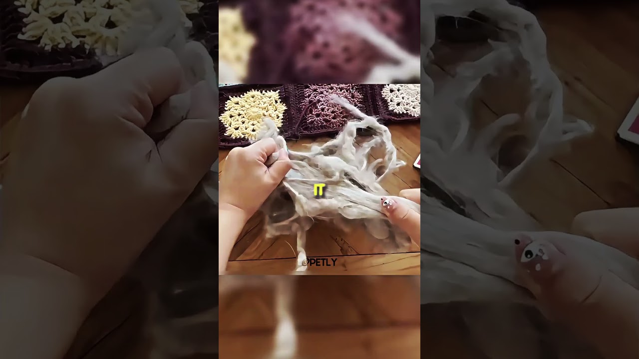 Making a Sweater Out of Dog's Shed Fur #petlife #shorts