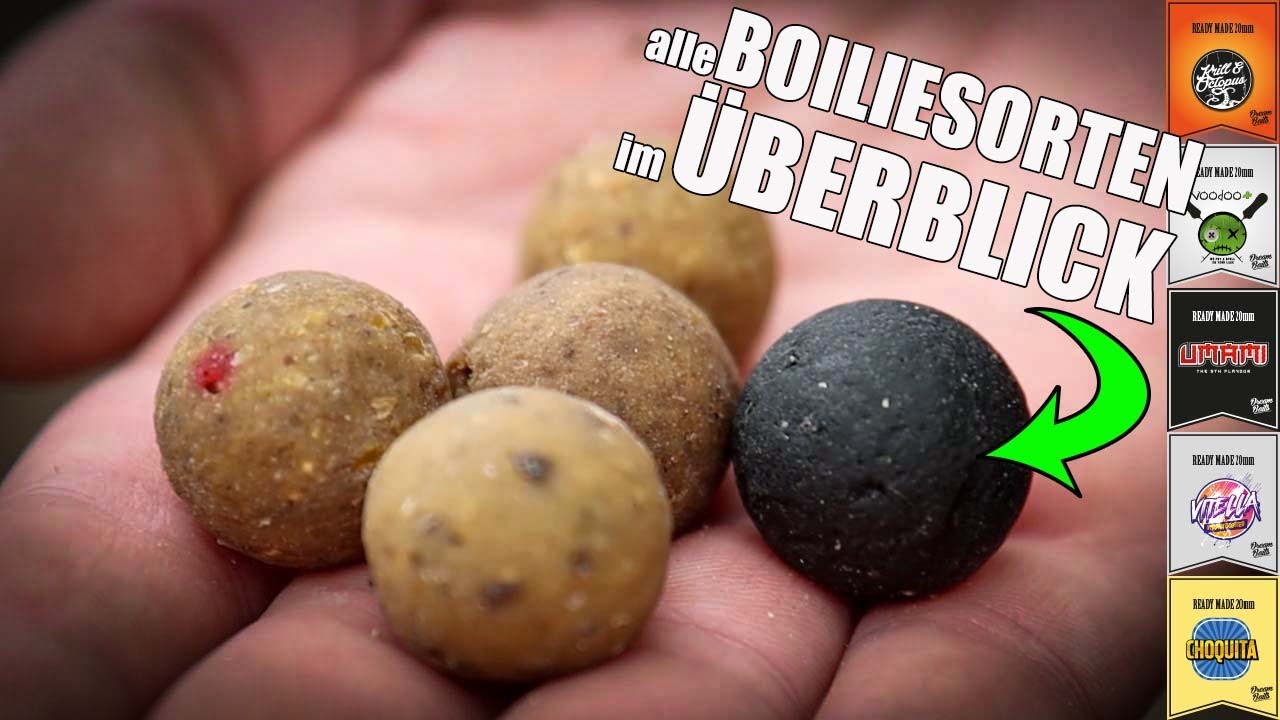 Dreambaits Readymade Range - Alle Readymade Boilies zum Karpfenangeln auf einen Blick vorgestellt!