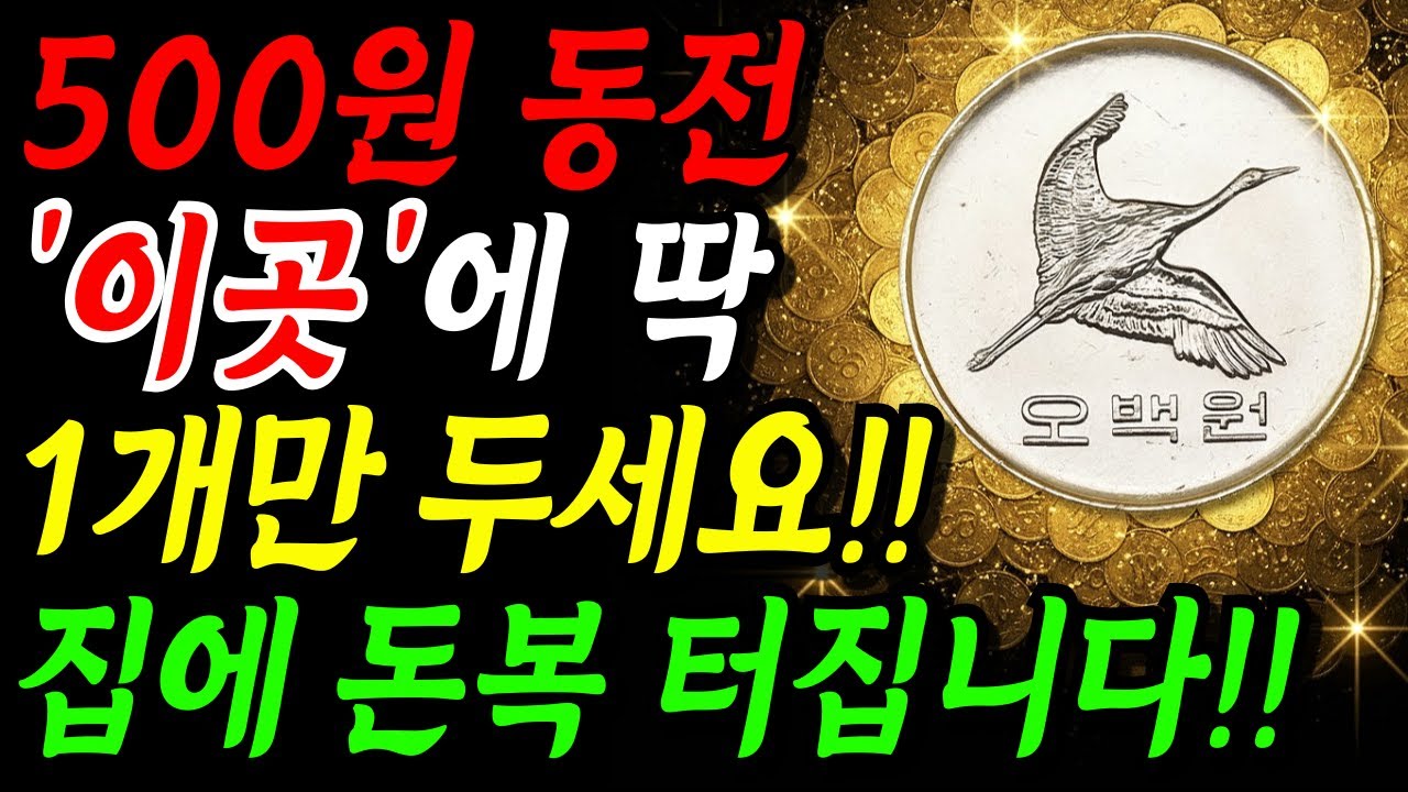500원 동전 &lsquo;이 곳&rsquo;에 두면 돈복 터집니다!! 남몰래 두세요.ㅣ부자들만 아는 재물운 풍수 인테리어ㅣ로또 당첨