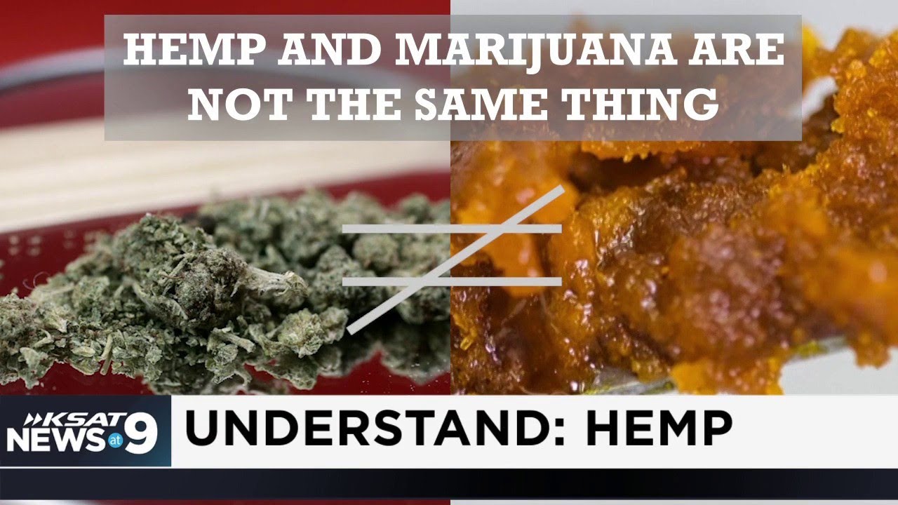 Understand: Hemp