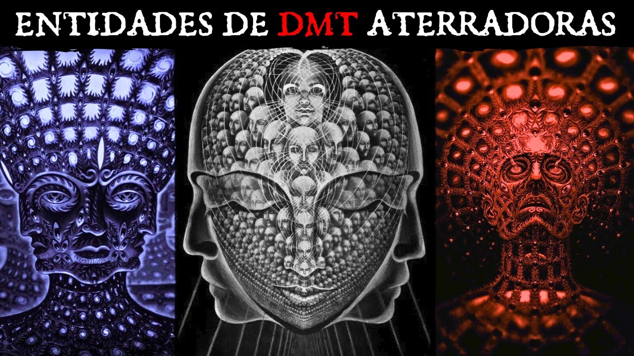 Las Entidades de DMT M&aacute;s Aterradoras Reveladas en Detalle Obsesivo