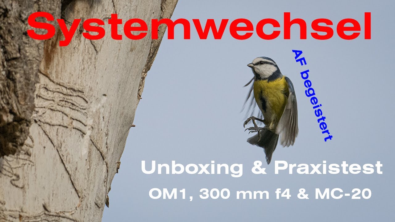 Olympus OMD besser als Nikon | Systemwechsel |Unboxing und Praxistest der OM1