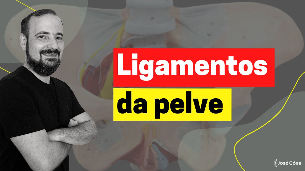 Ligamentos da pelve | José Góes