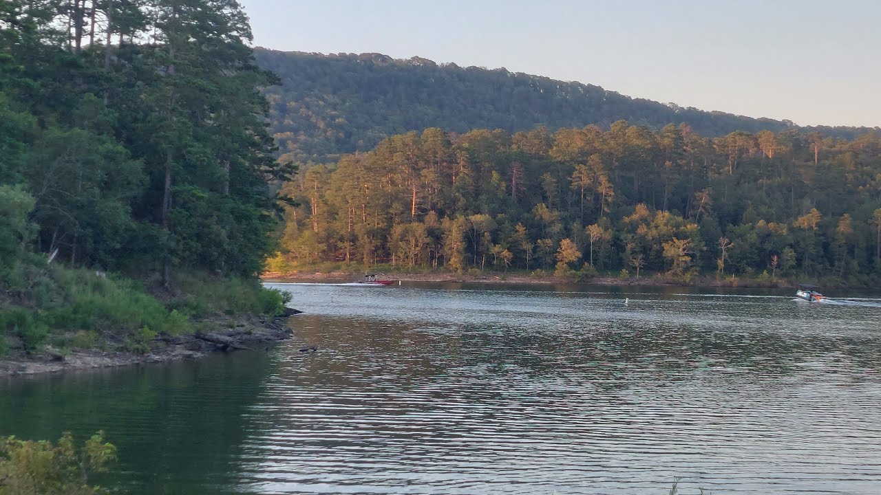 Simple Life Reclaimed is going live!