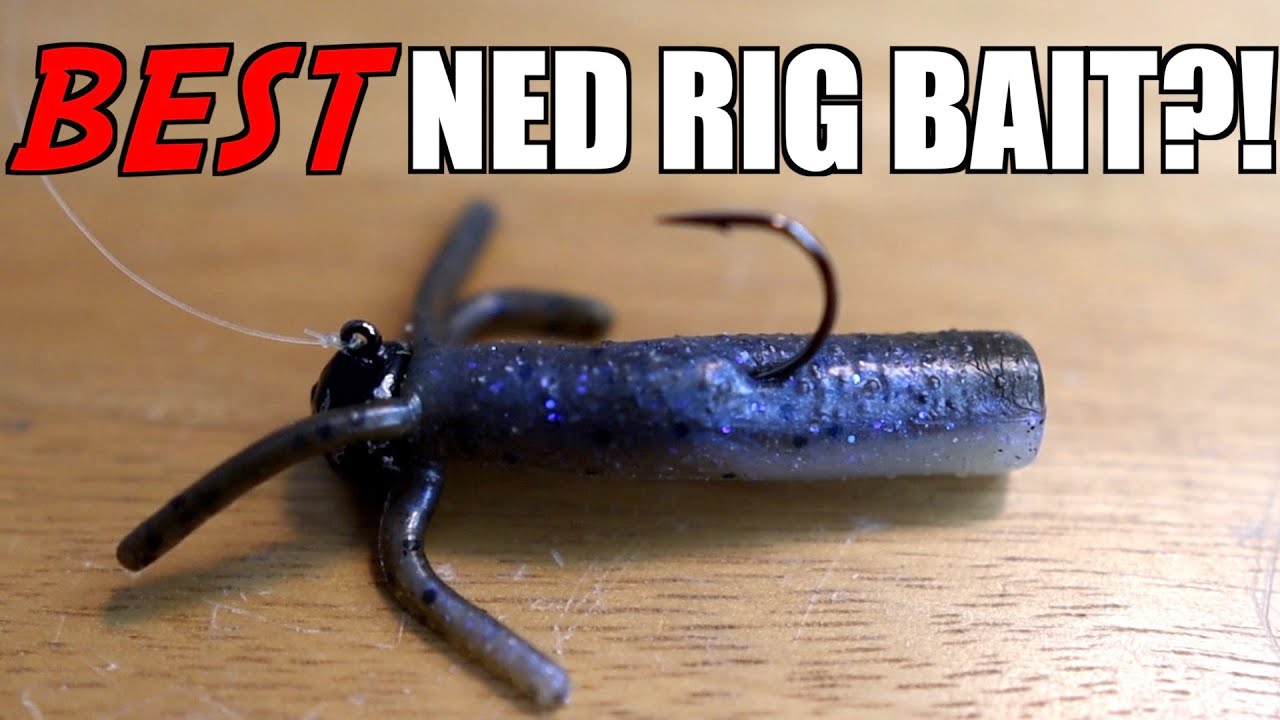 3 Ned Rig Baits you NEED To Try For BIG Smallmouth Bass!