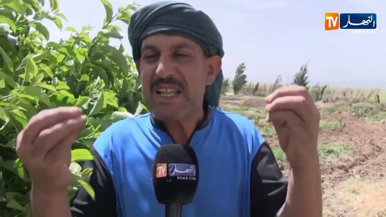 قسنطينة: فلاح من عين عبيد يرفع التحدي لتغطية الطلب على مادة البطاطا