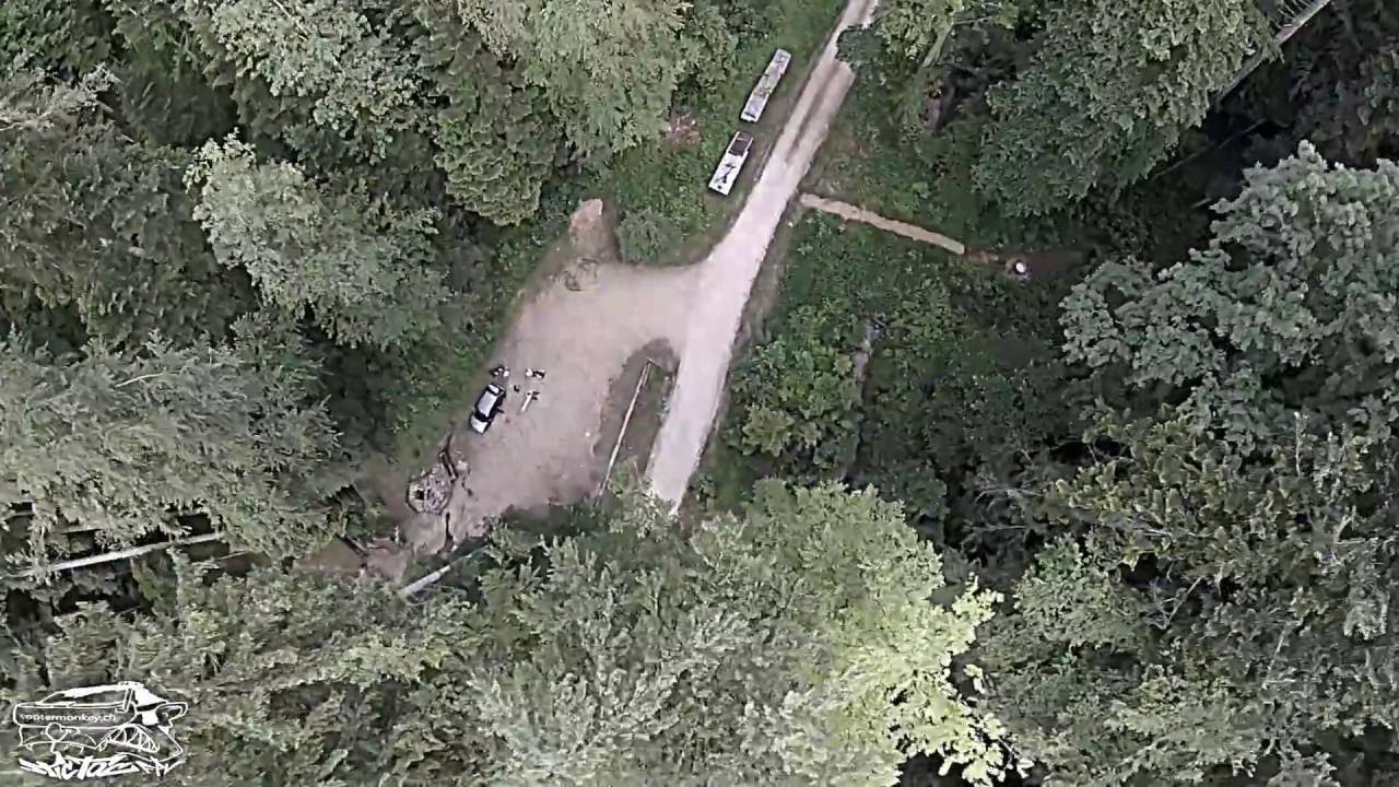 Tree Surfing