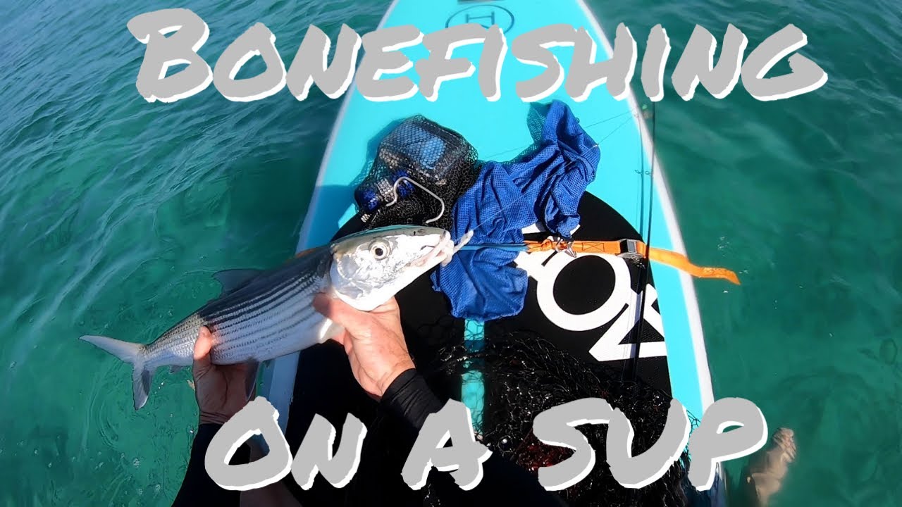 Fishing for Bonefish (O'io) off a SUP!