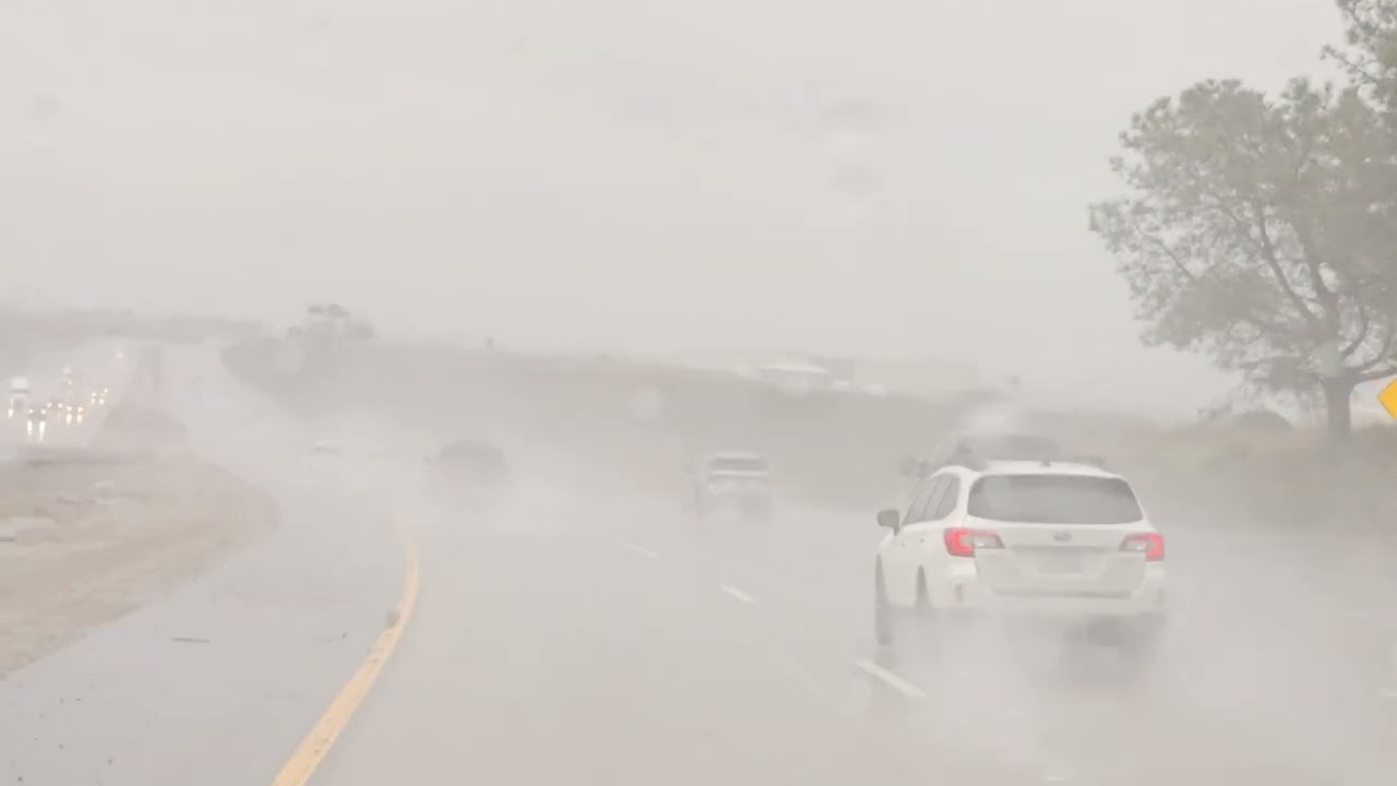 2/6/24 Rain 🌧