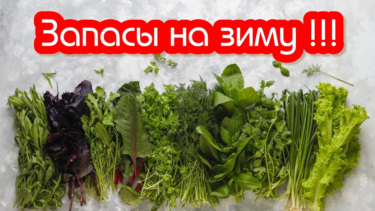 Как Заготовить ЗЕЛЕНЬ для ПОПУГАЯ  на ЗИМУ / Способ заморозка 📌
