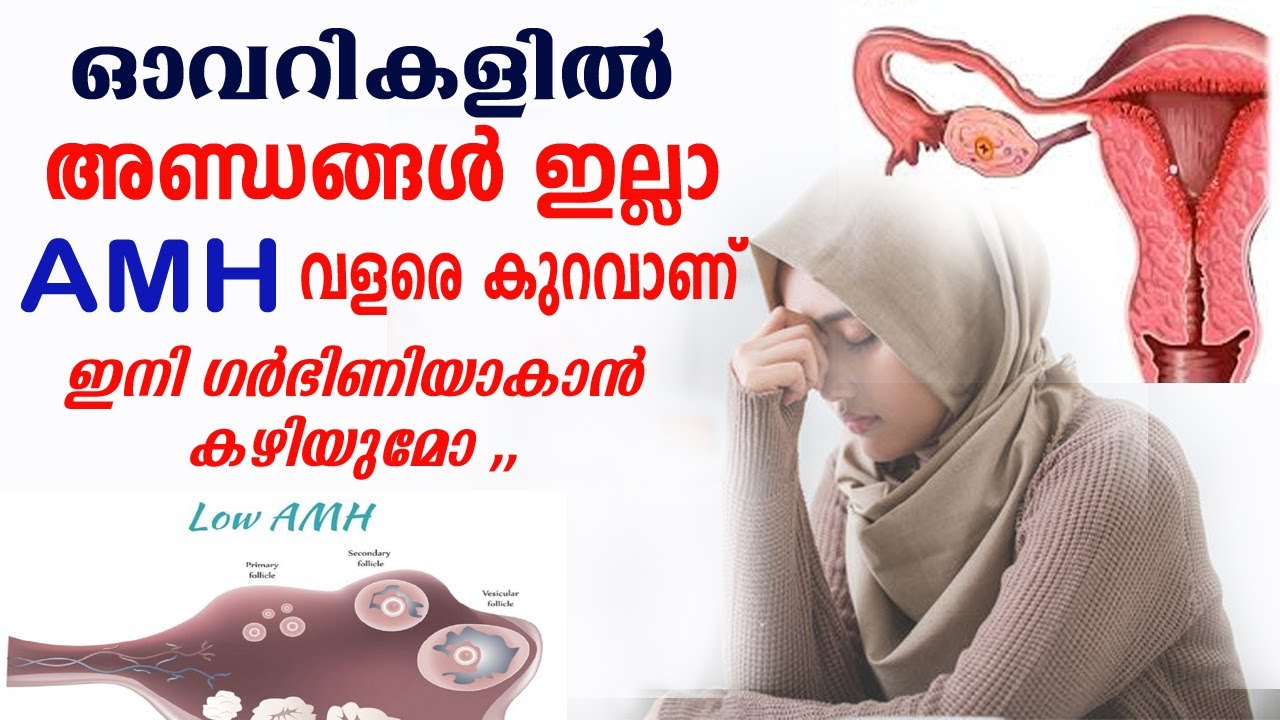 ഓവറികളില്‍ അണ്ഡം റിസര്‍വ് വളരെ കുറഞ്ഞാല്‍ (LOW AMH) ആയാല്‍ എന്ത് ചെയ്യും |  AMH അളവ് കൂടുമോ..?