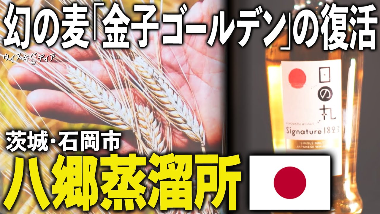 【コラボ決定!?】幻の麦とハイボール　茨城・石岡 八郷蒸溜所【ウイスキペディア】#100