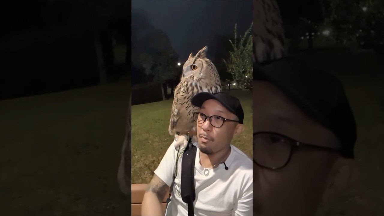 【フクロウを飼いたい人は聞いて下さい🦉🦉】