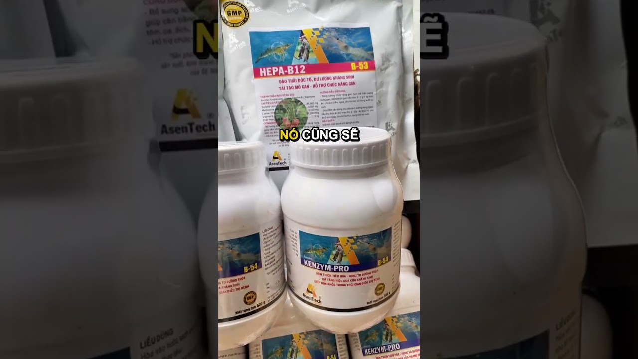 Bộ Đôi Phục Hồi Gan & Đường Ruột Tôm Cá | KENZYM PRO + HEPA B12