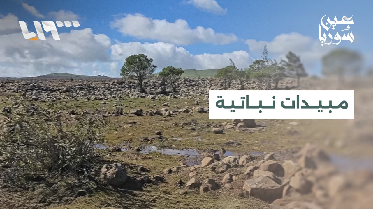 تحليل المواد المرشوشة على طول خط وقف إطلاق النار في القنيطرة يثبت عدم خطورتها على البشر والمواشي