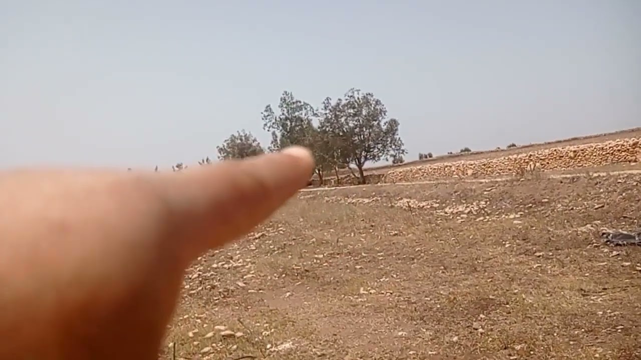 ارض للبيع جماعه سيدي حسين بن عبد الرحمن اقليم الجديده نواحي مساحتها خمس هكتار رقم الهاتف 0663143932