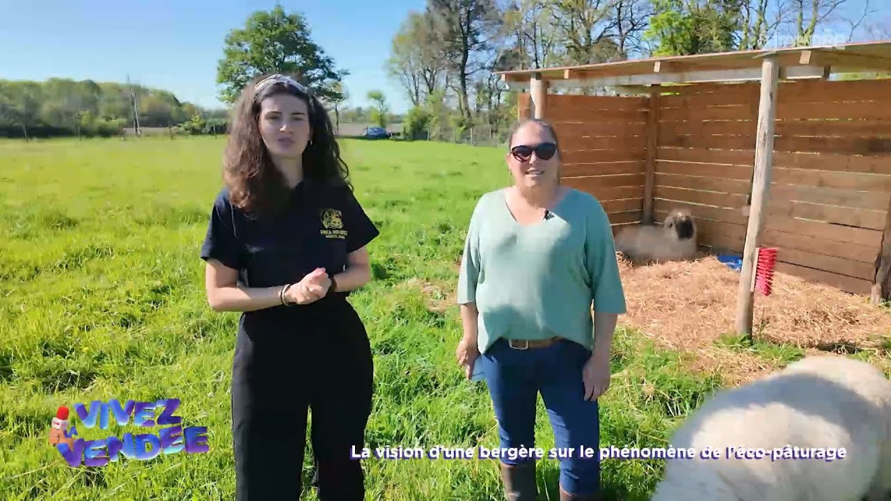 La vision d’une bergère sur l’éco-pâturage