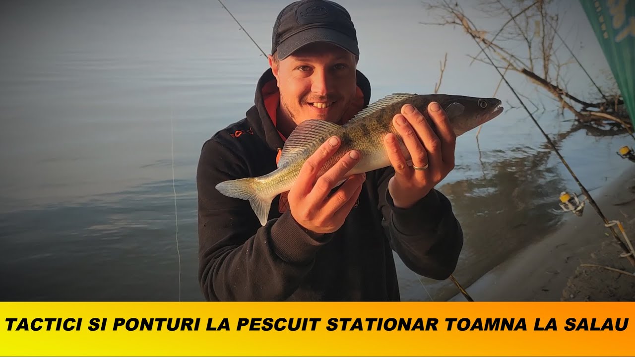 TACTICI SI PONTURI LA PESCUIT STATIONAR TOAMNA LA SALAU