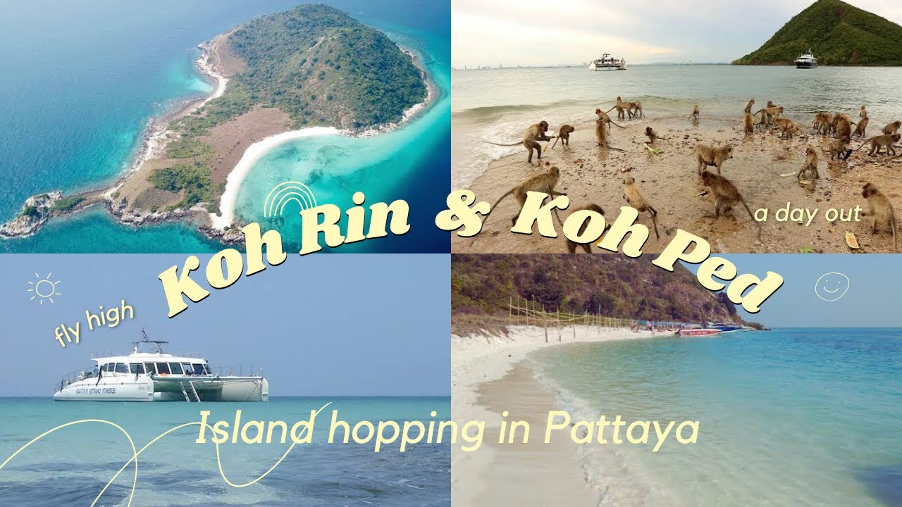 Unveiling Koh Rin and Monkey Island Magic | Pattaya Island Hopping Adventure(Part 2)🏝️🐒