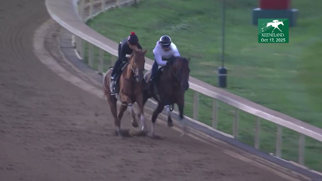 She Feels Pretty (outside) works at Keeneland - October 17, 2025
