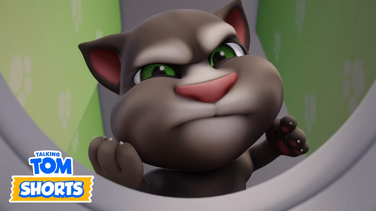 이곳은 역겹다! | 말하는 톰 | 전체 에피소드 | Talking Tom