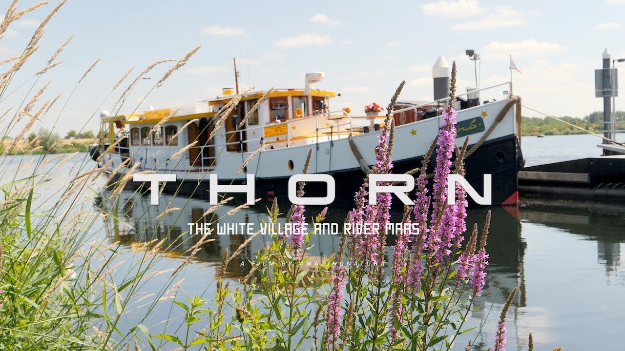 Thorn | The White Village and River Maas | 4k