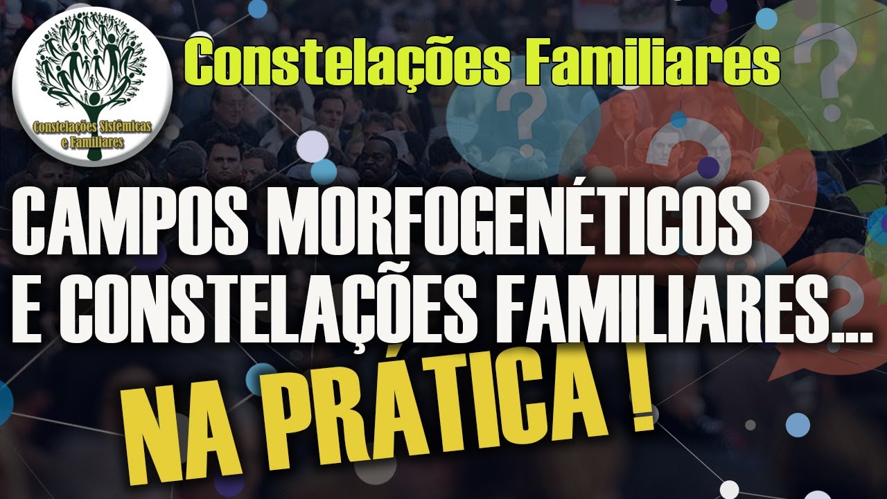 Campo Morfogenético - o que é? na prática - Constelações Familiares