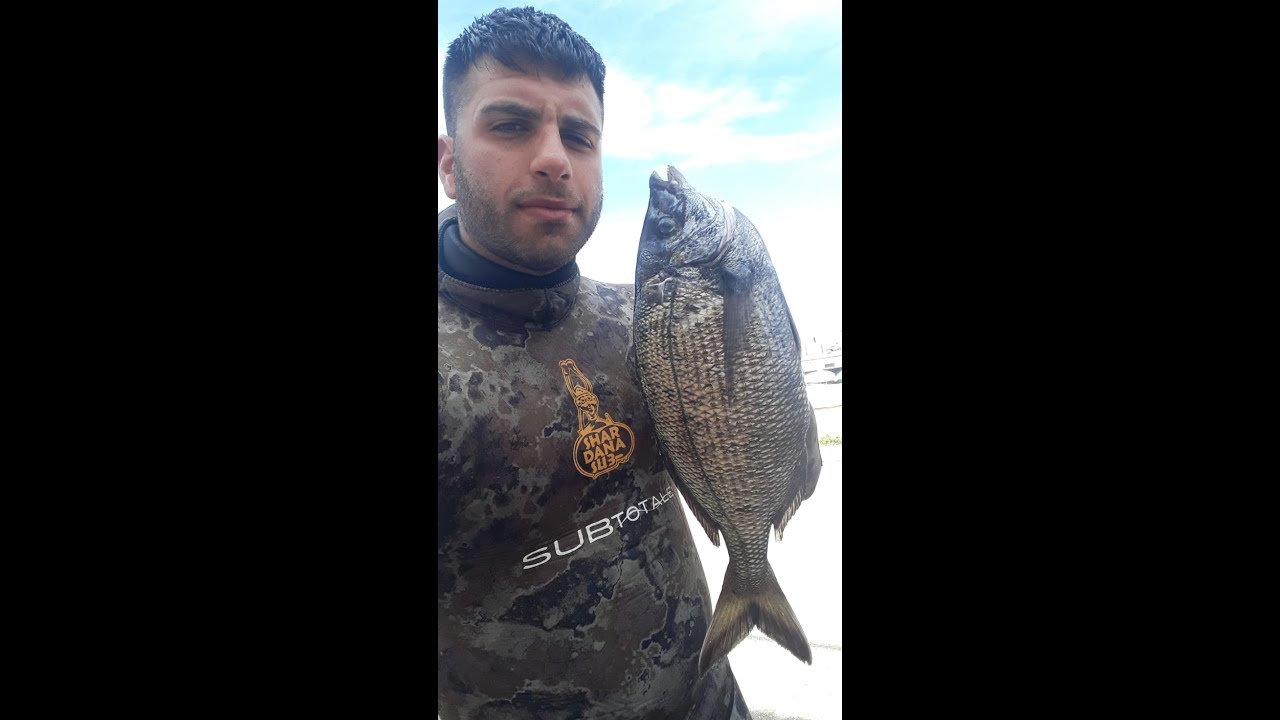 PESCA SUB: SALVIMAR PREDATHOR 75