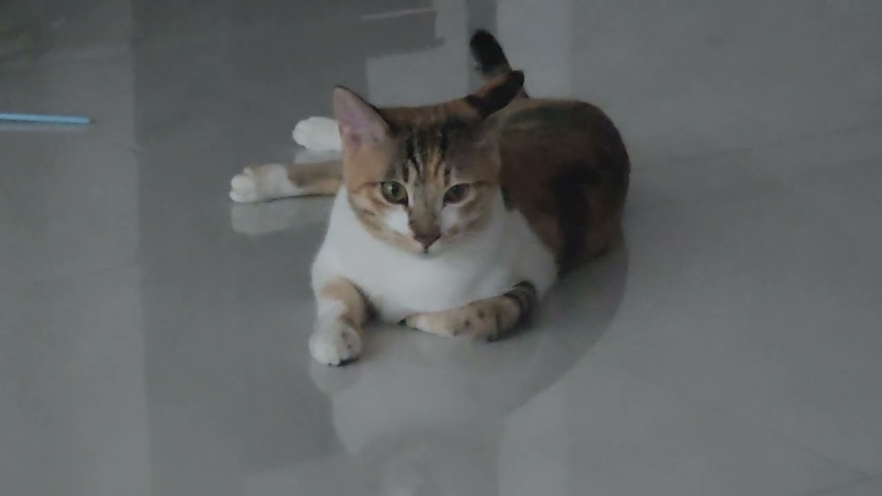 아이 피곤해!