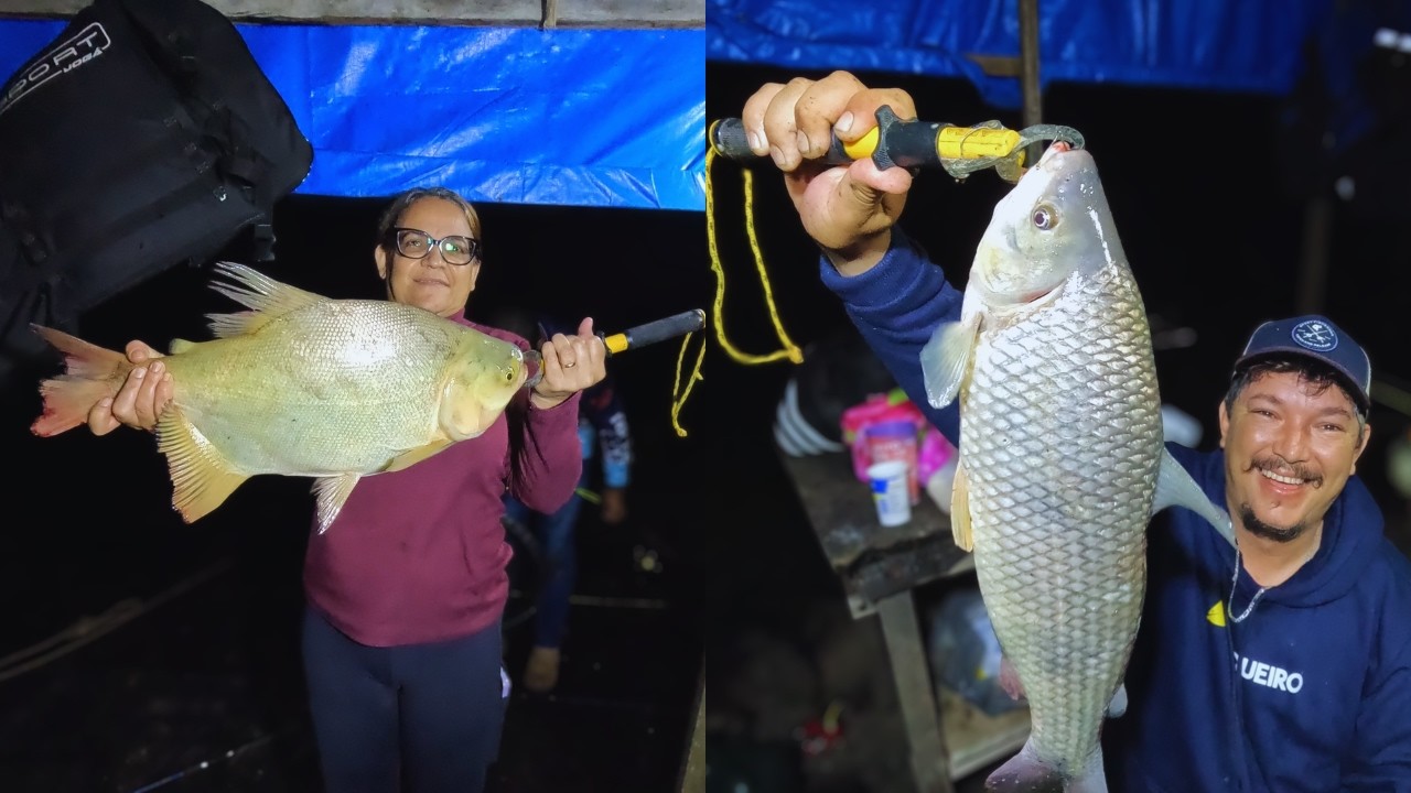 Desta vez passei Mal pacu Caranha Matrinxã Piau gigante a pescaria de grandes peixes!