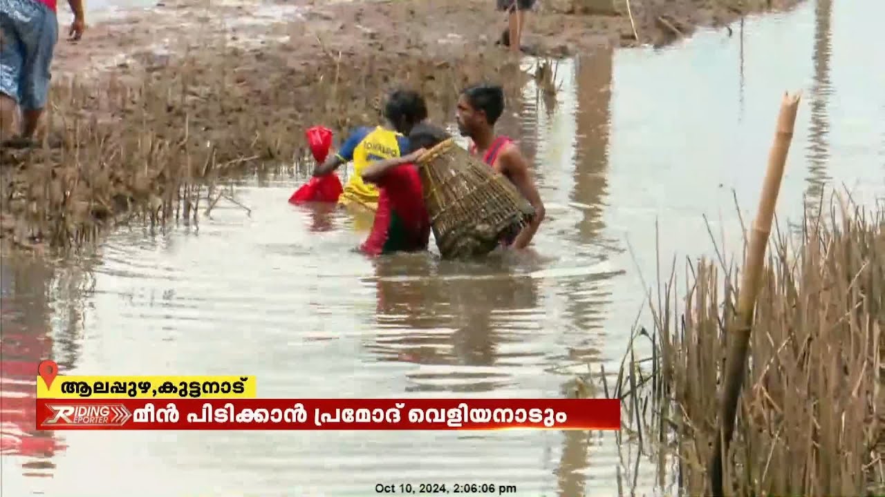 കുട്ടനാട്ടിലെ നാടൻ മീനുകളുടെ ചാകര...നാട് മുഴുവൻ മീൻപിടുത്ത ലഹരിയിൽ | Kuttanad