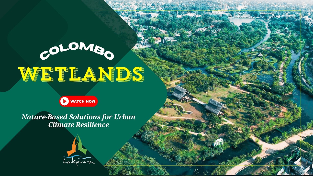 Colombo Wetlands | Nature-Based Solutions for Urban Climate Resilience