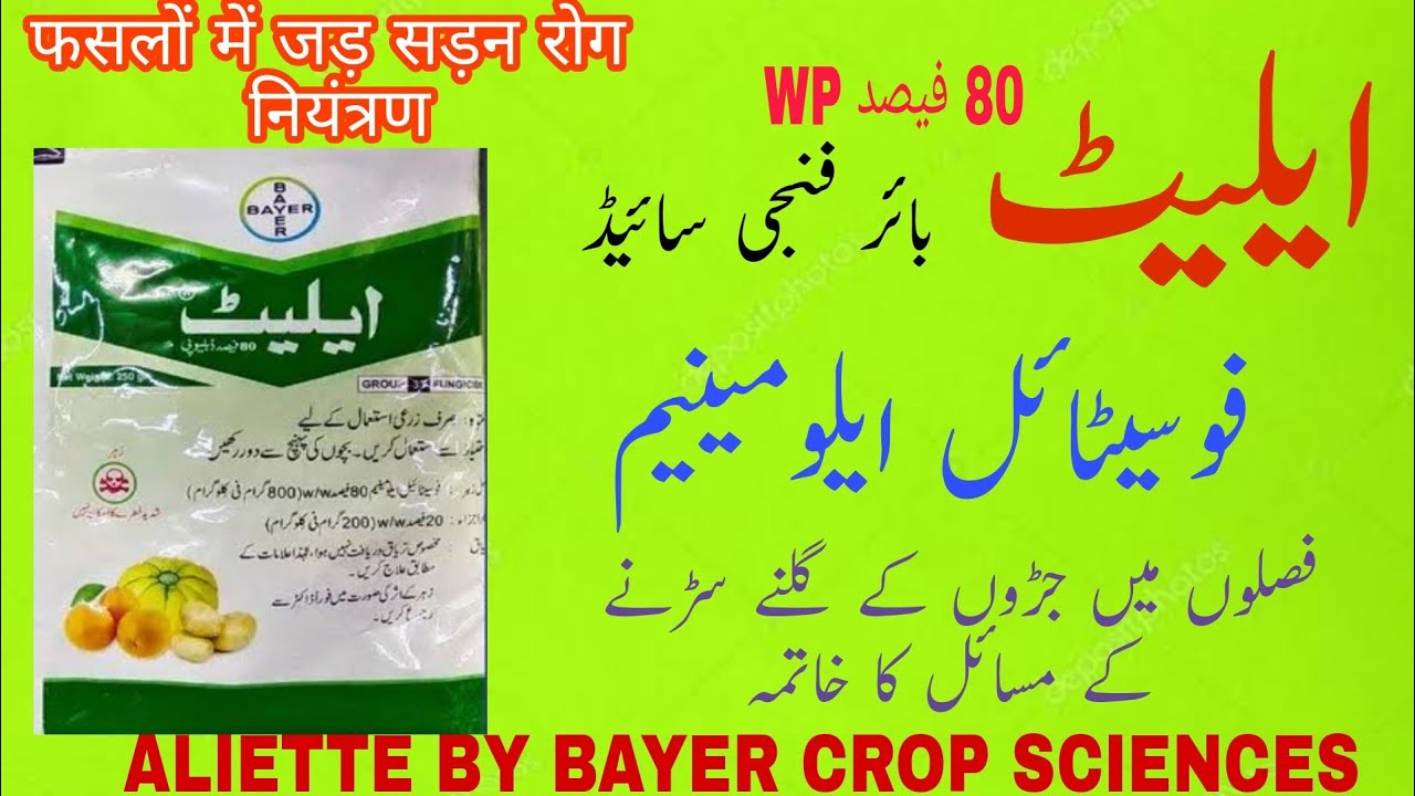 Bayer Aliette Fungicide detail | Fosetyl Aluminium Fungicide spray | How to control root rot disease