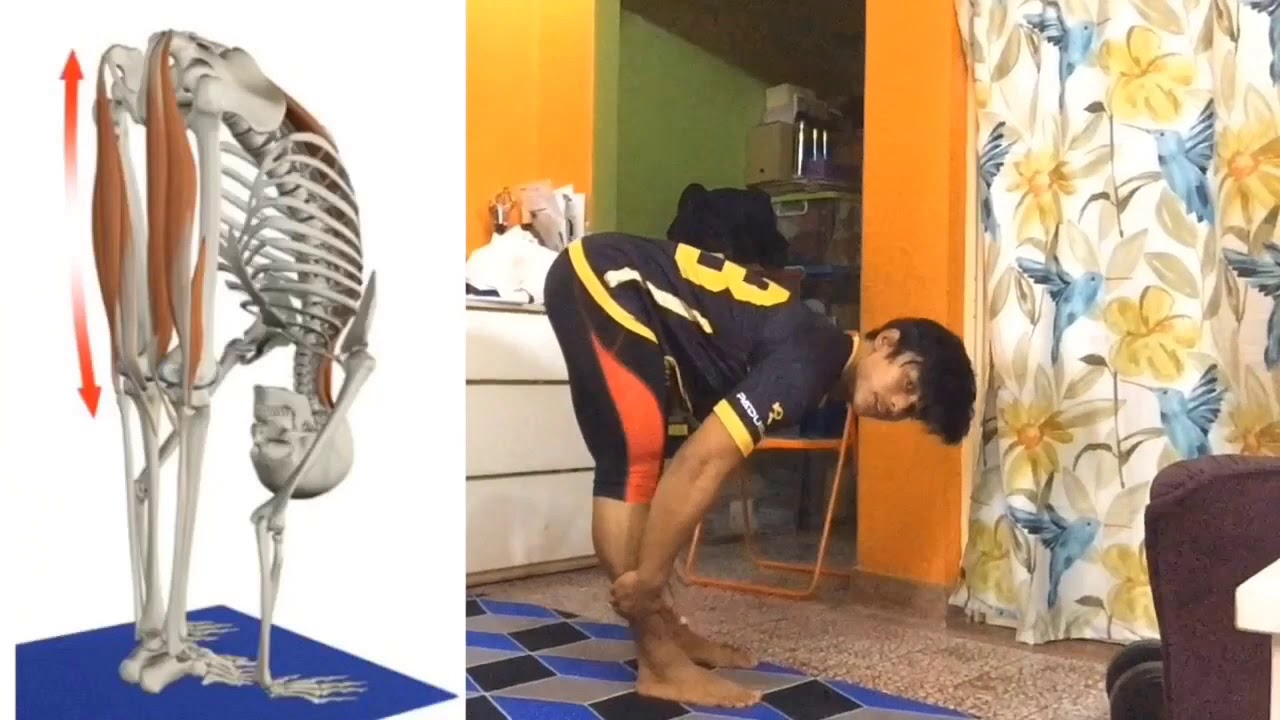 Leg Home Workout (no equipment)- Hazim Sazali