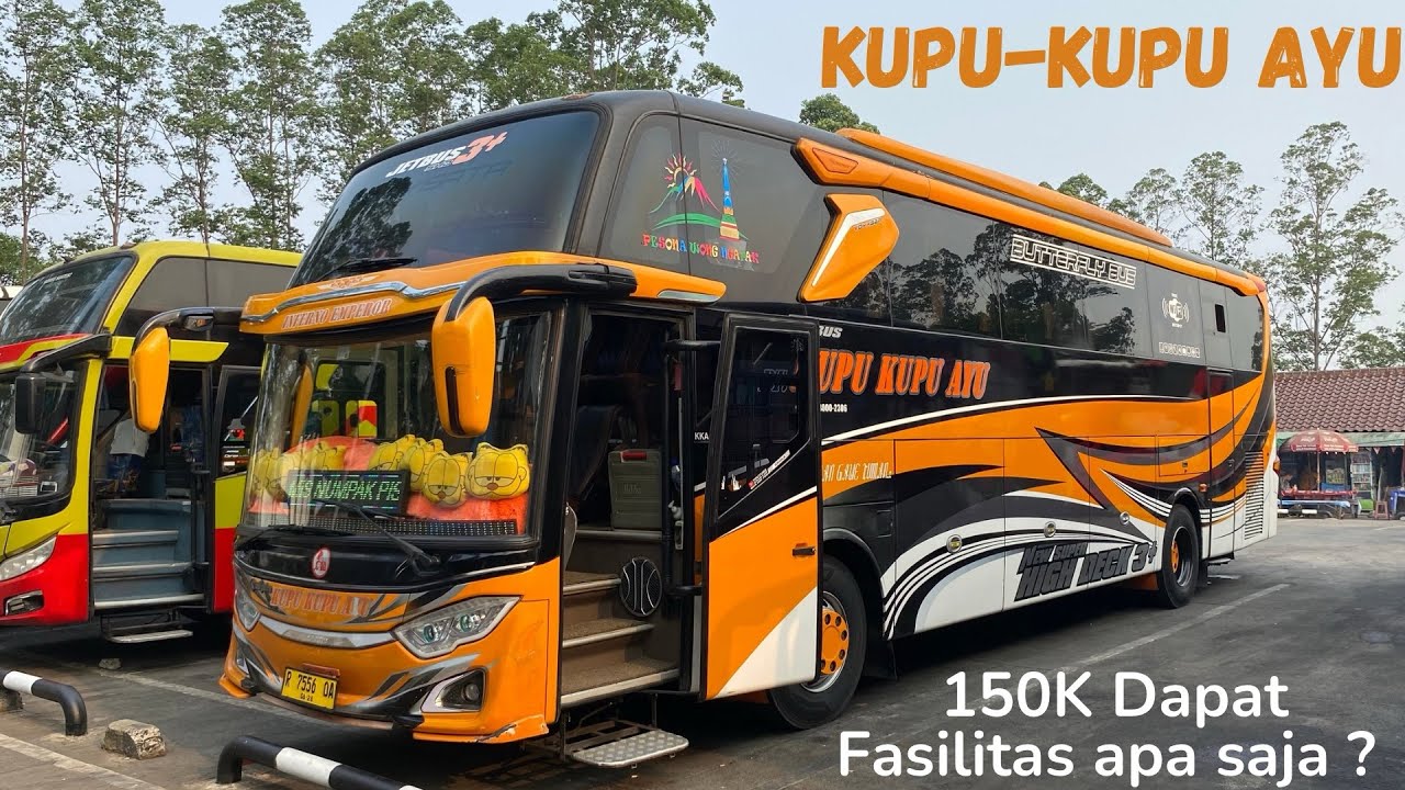 LIBURAN KE DIENG ? NAIK BUS INI AJA CUMA Rp 150.000 | KUPU KUPU AYU PASAR KEMIS - WONOSOBO