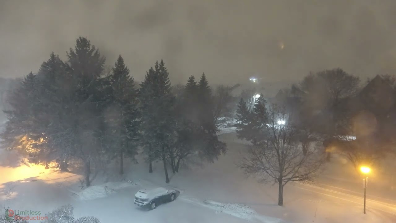 Snowfall timelapse from Eagan, Minnesota - March 6, 2022 #mnwx
