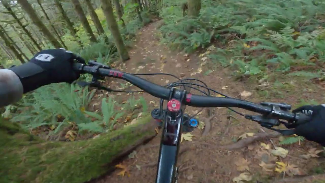 My 1,000th video downloaded Stormy trail @ North Slope Capital Forest