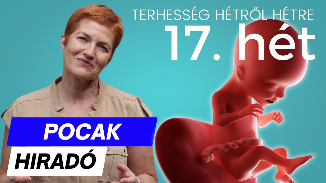 Terhesség 17. hete ∣ Terhesség hétről hétre