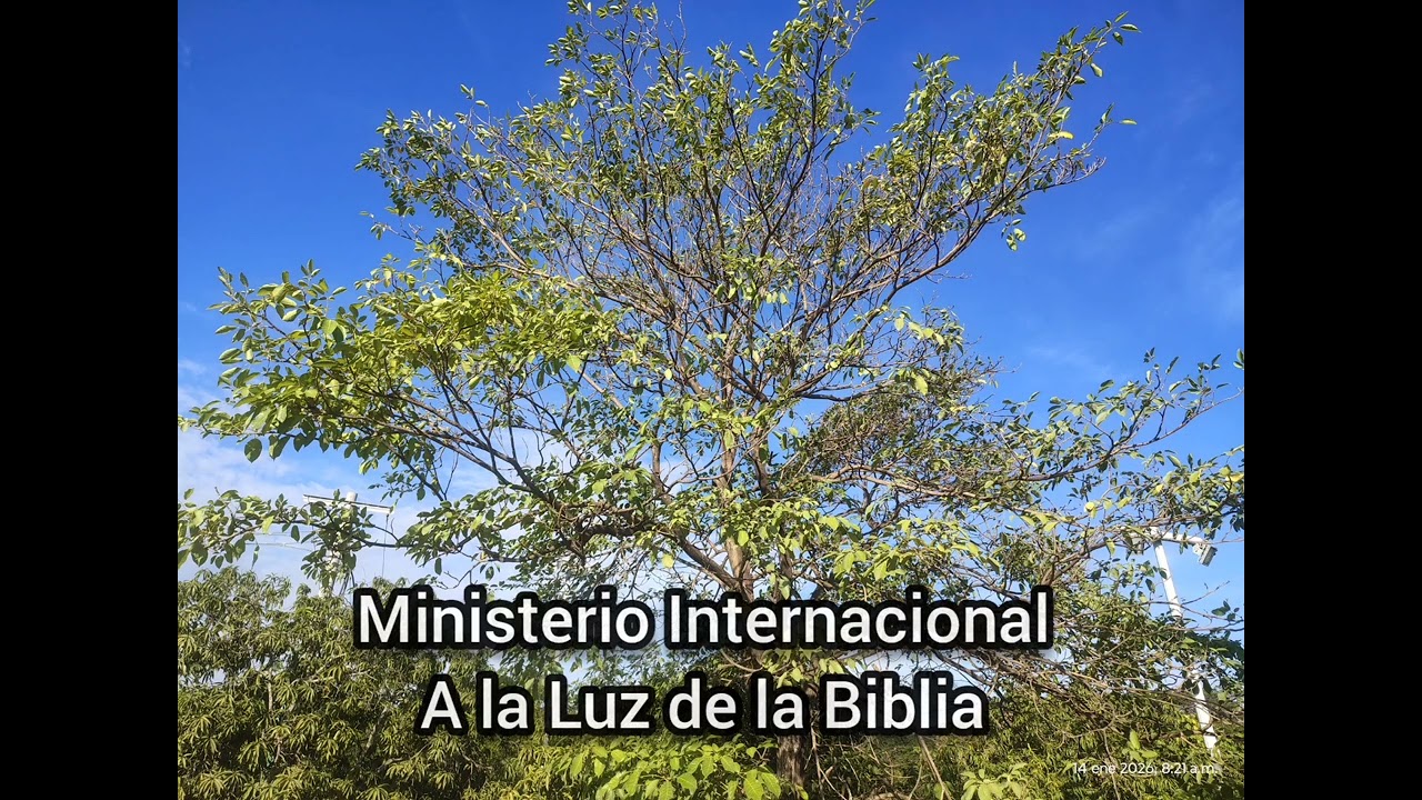 La vara 