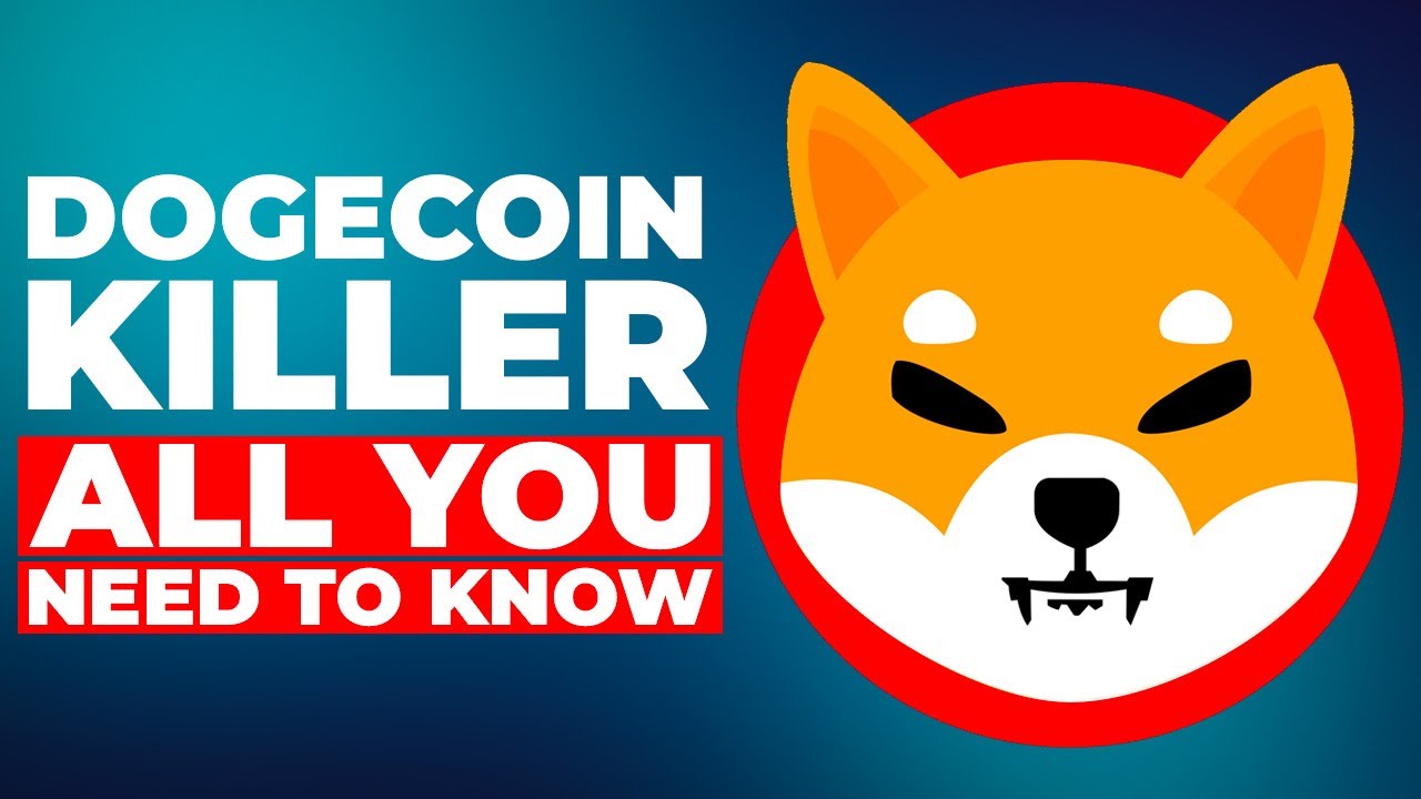 The Dogecoin Killer | Shiba Inu Coin Explained!