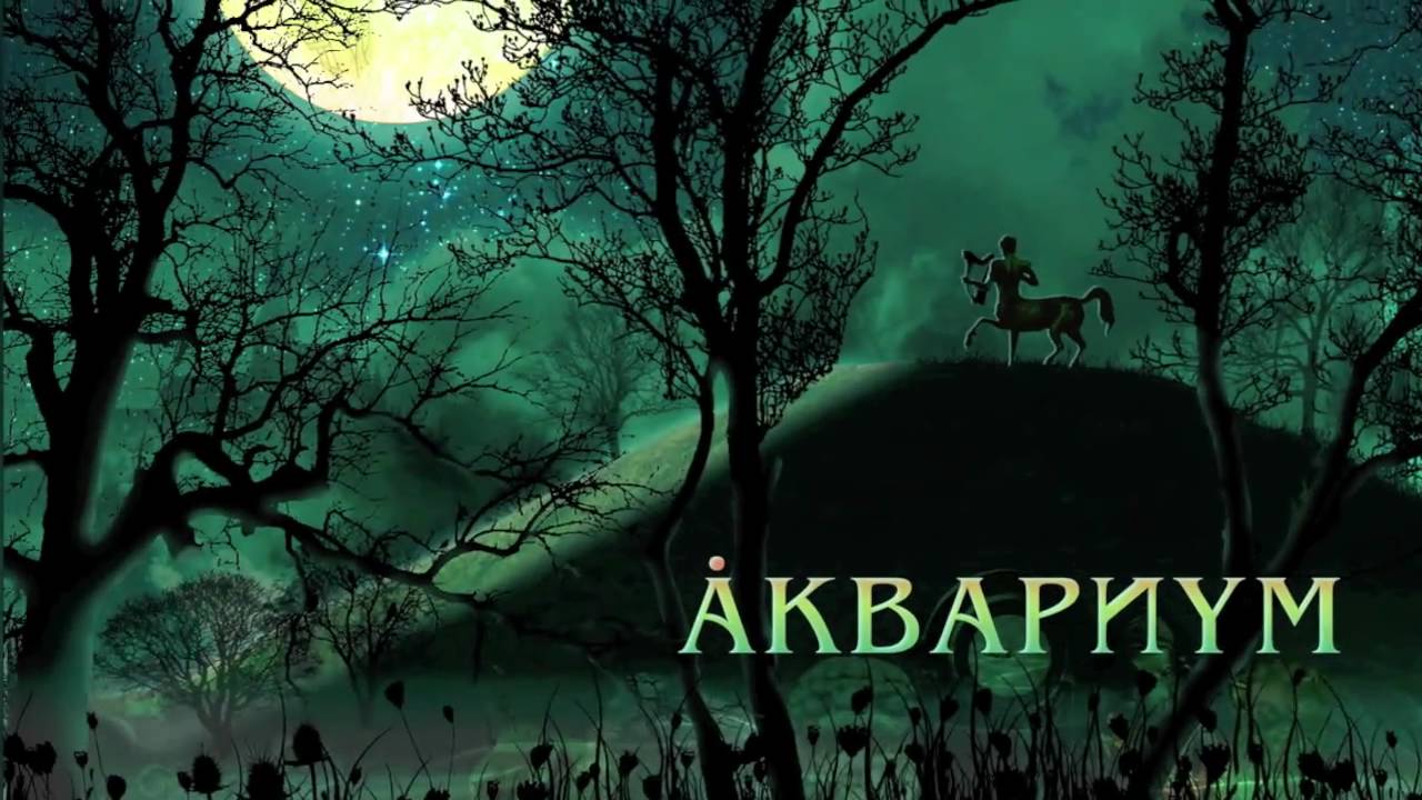 Аквариум - Мне Было Бы Легче Петь (live) HD
