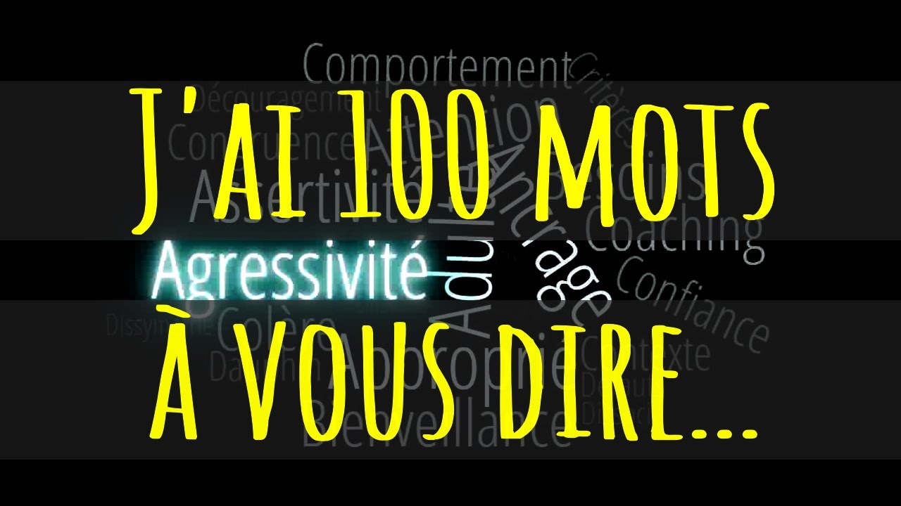 J'ai 100 mots &agrave; vous dire : le D&eacute;veloppement personnel