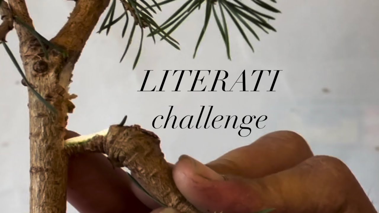 Literati challenge #Tony&rsquo;s Bonsai challenge @Bonsaicrazy