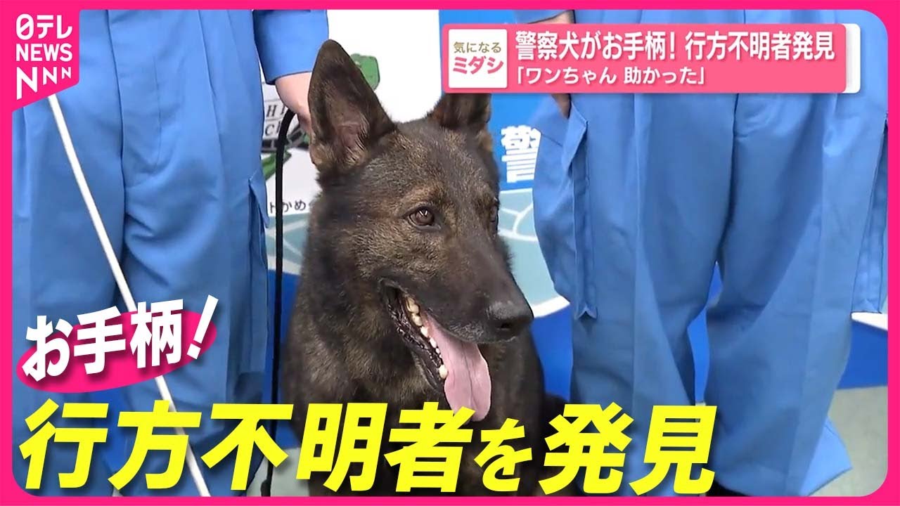 【お手柄！】警察犬が行方不明者発見  「ワンちゃん 助かった」
