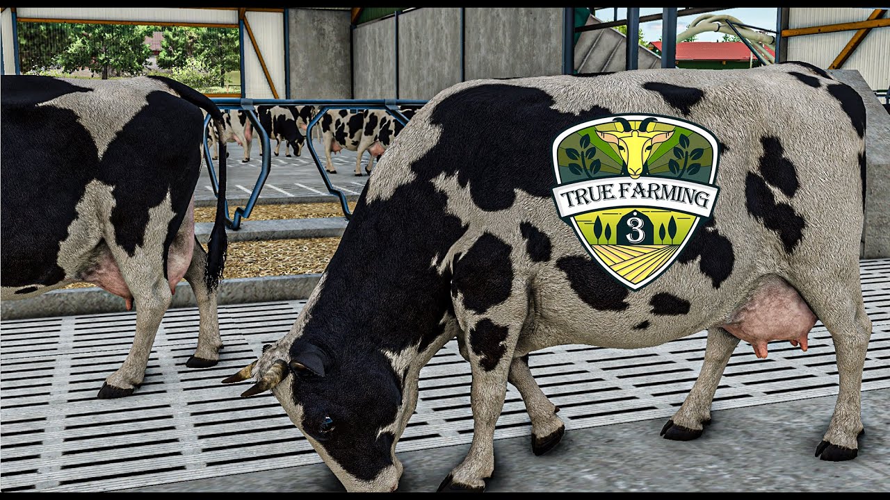 Auf geht's zur Berufsschule | True Farming 3 f#16