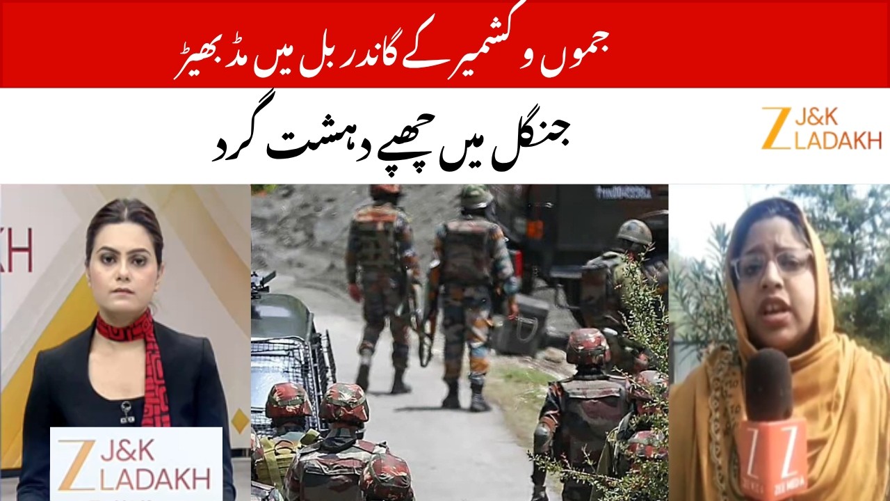 Ganderbal Encounter: 1 Terrorist Killed, Operation Continues in Arhama Area | JammuKashmir |  ZeeJKL